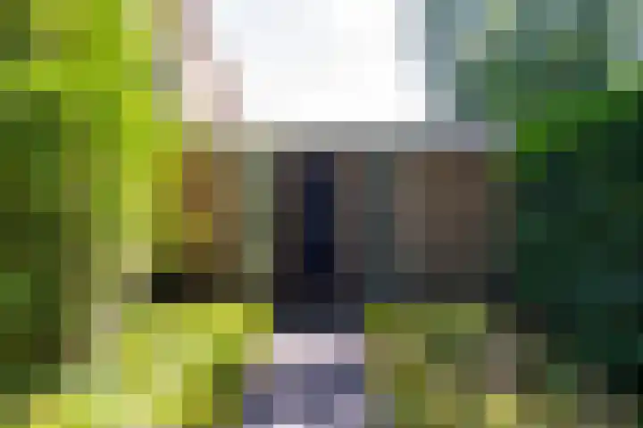 Kasteel Doorwerthstraat 2 Tilburg thumbnail 7