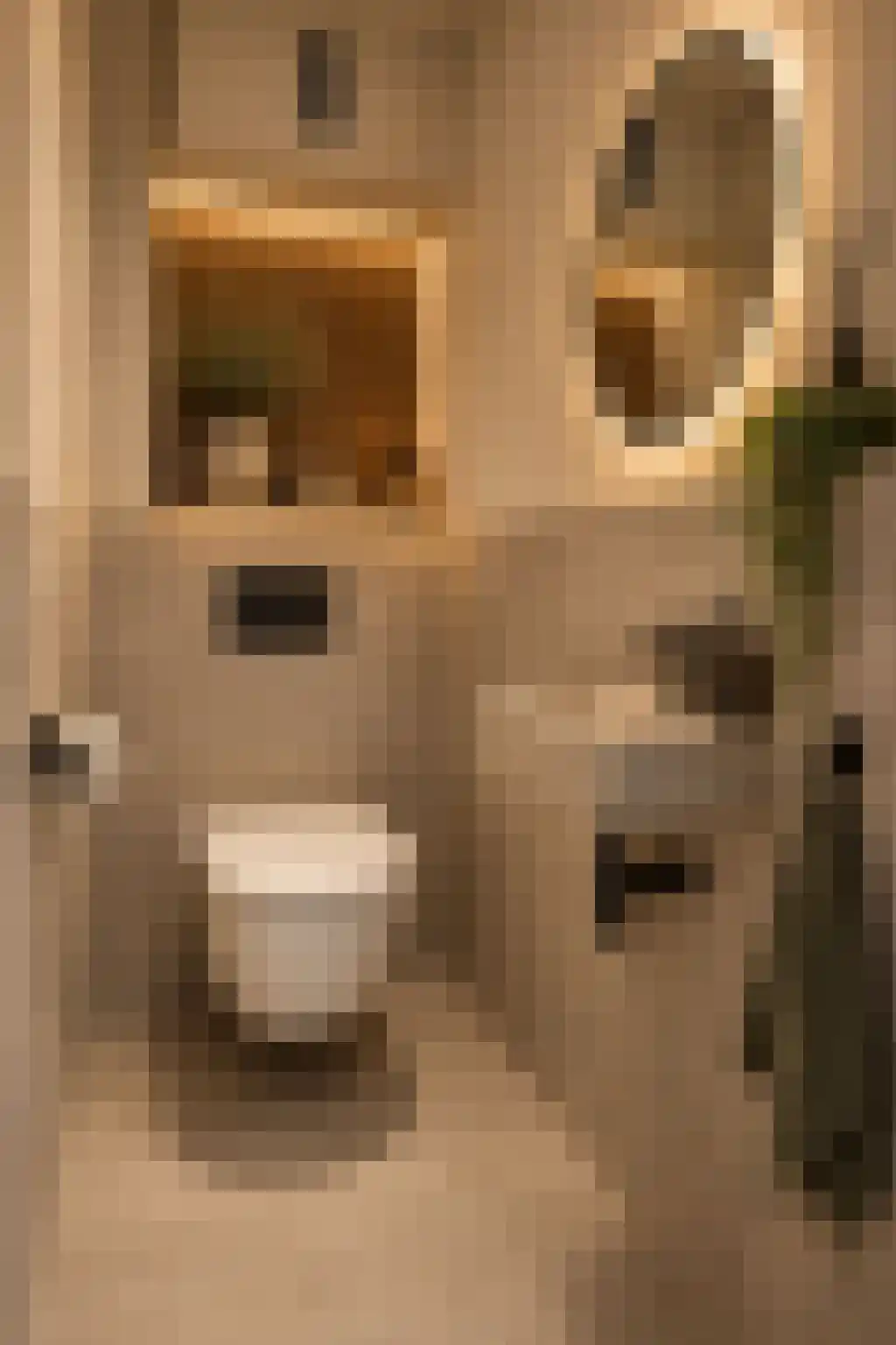Kasteel Exaetenstraat 13 Roermond thumbnail 21