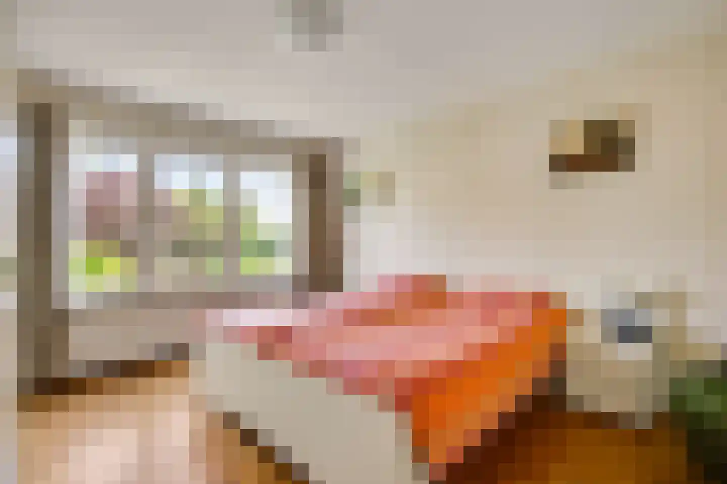 Kasteel Exaetenstraat 13 Roermond thumbnail 23
