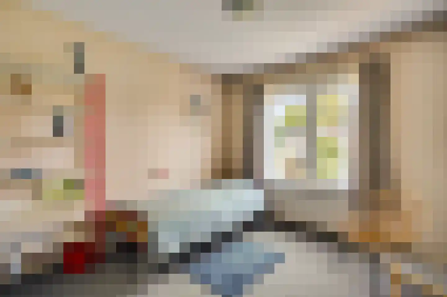 Kasteel Exaetenstraat 13 Roermond thumbnail 31