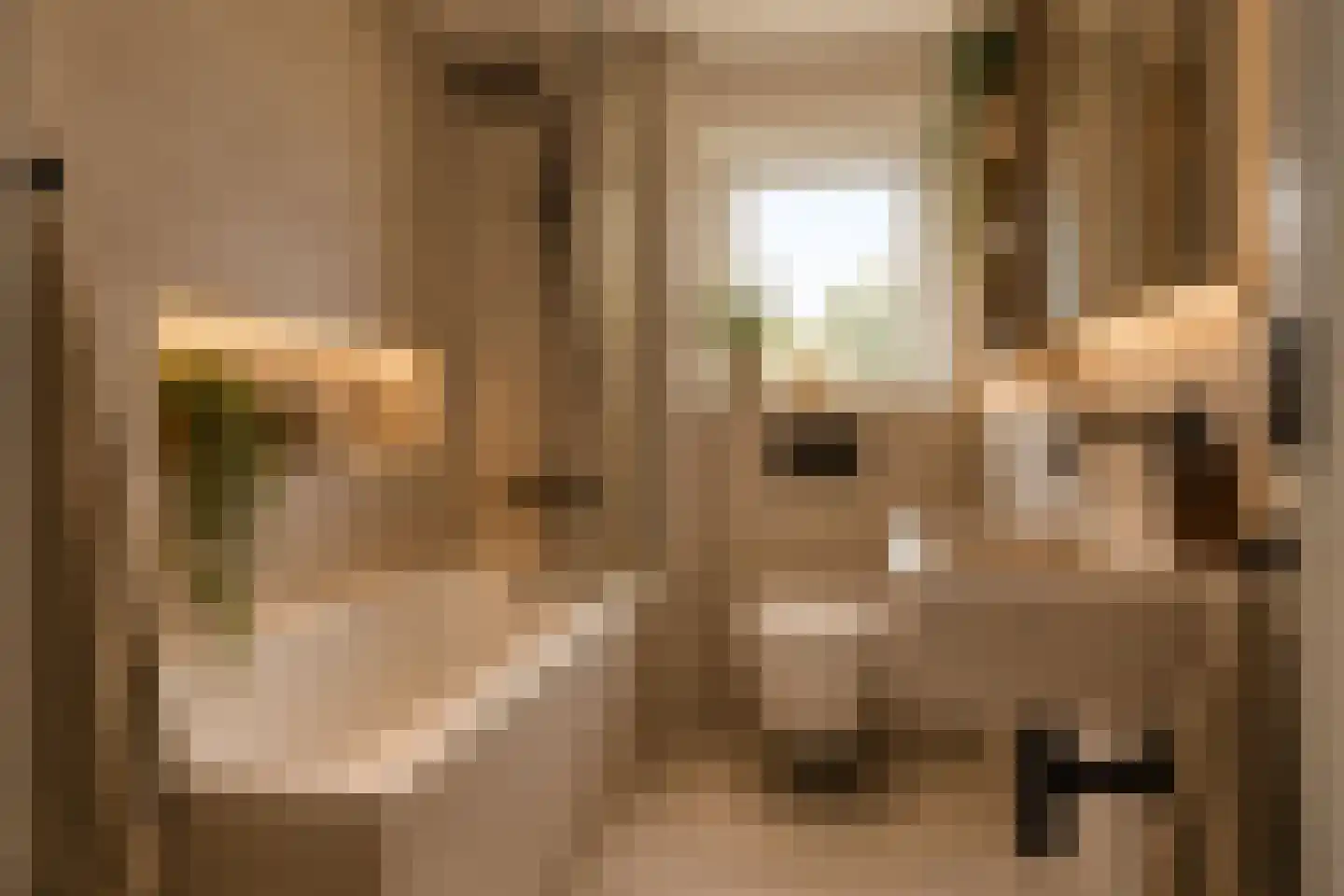 Kasteel Exaetenstraat 13 Roermond thumbnail 36