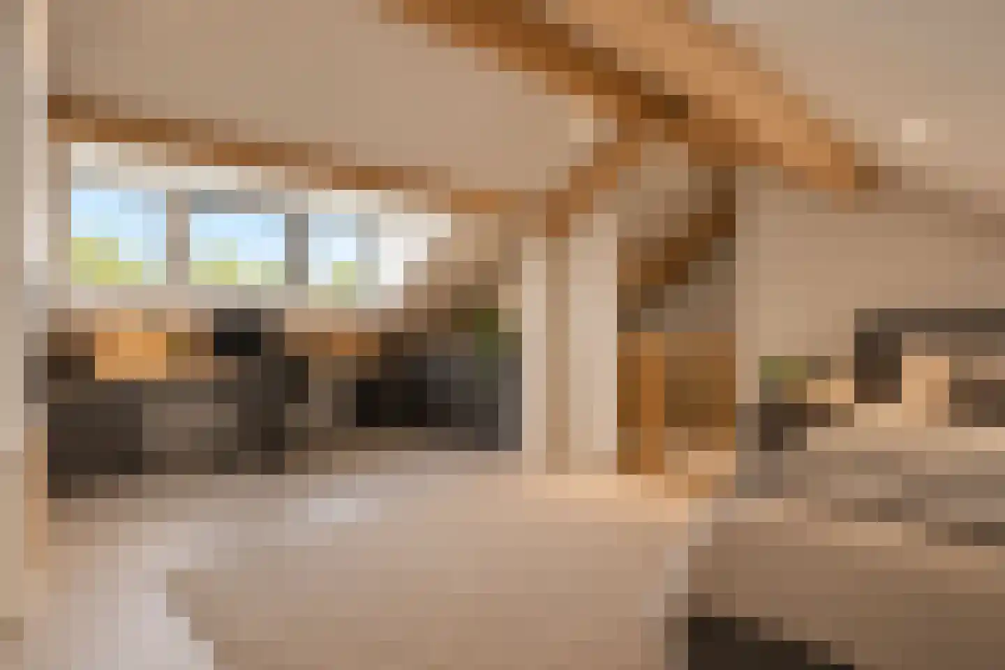 Kasteel Exaetenstraat 13 Roermond thumbnail 42