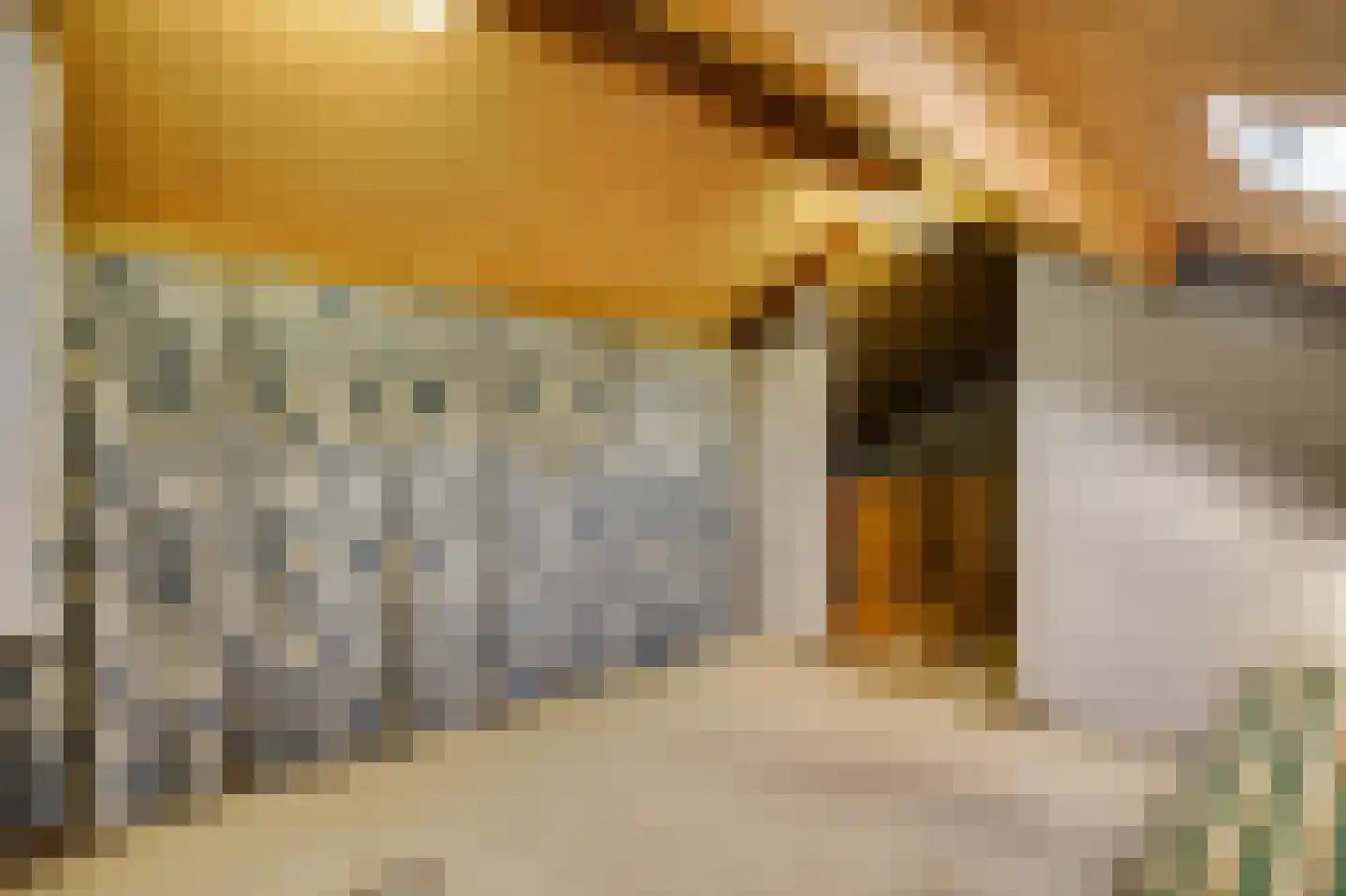 Kasteel Exaetenstraat 13 Roermond thumbnail 43