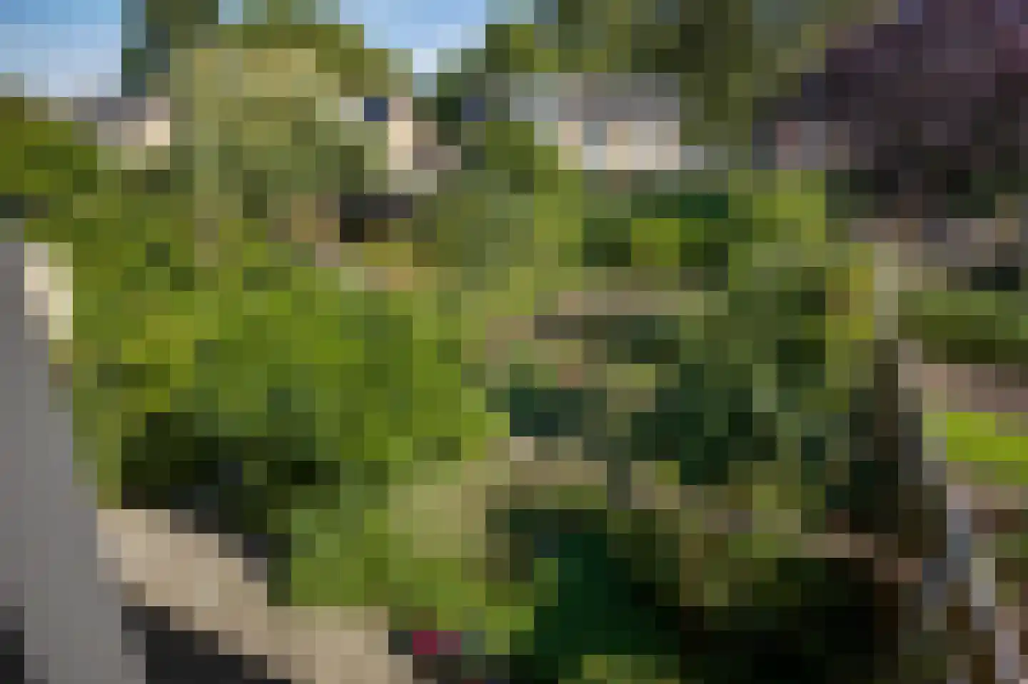 Kasteel Exaetenstraat 13 Roermond thumbnail 47