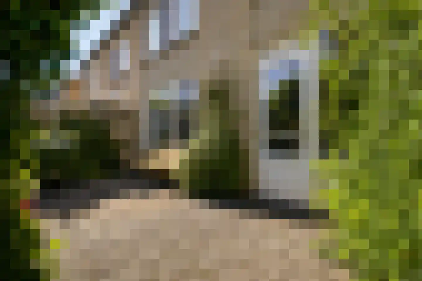 Kasteel Exaetenstraat 13 Roermond thumbnail 48