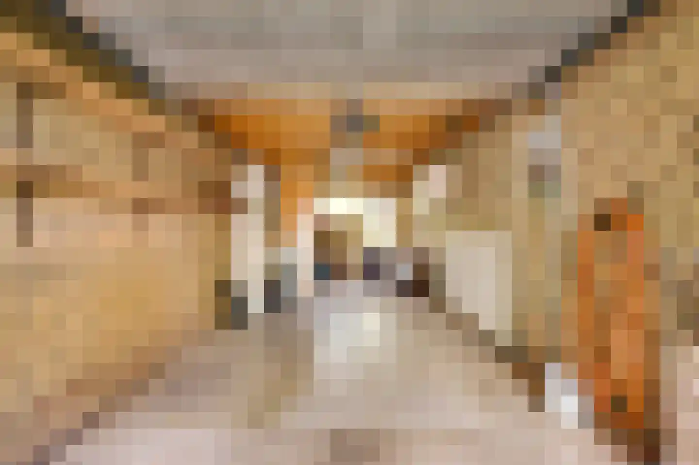 Kasteel Exaetenstraat 13 Roermond thumbnail 50