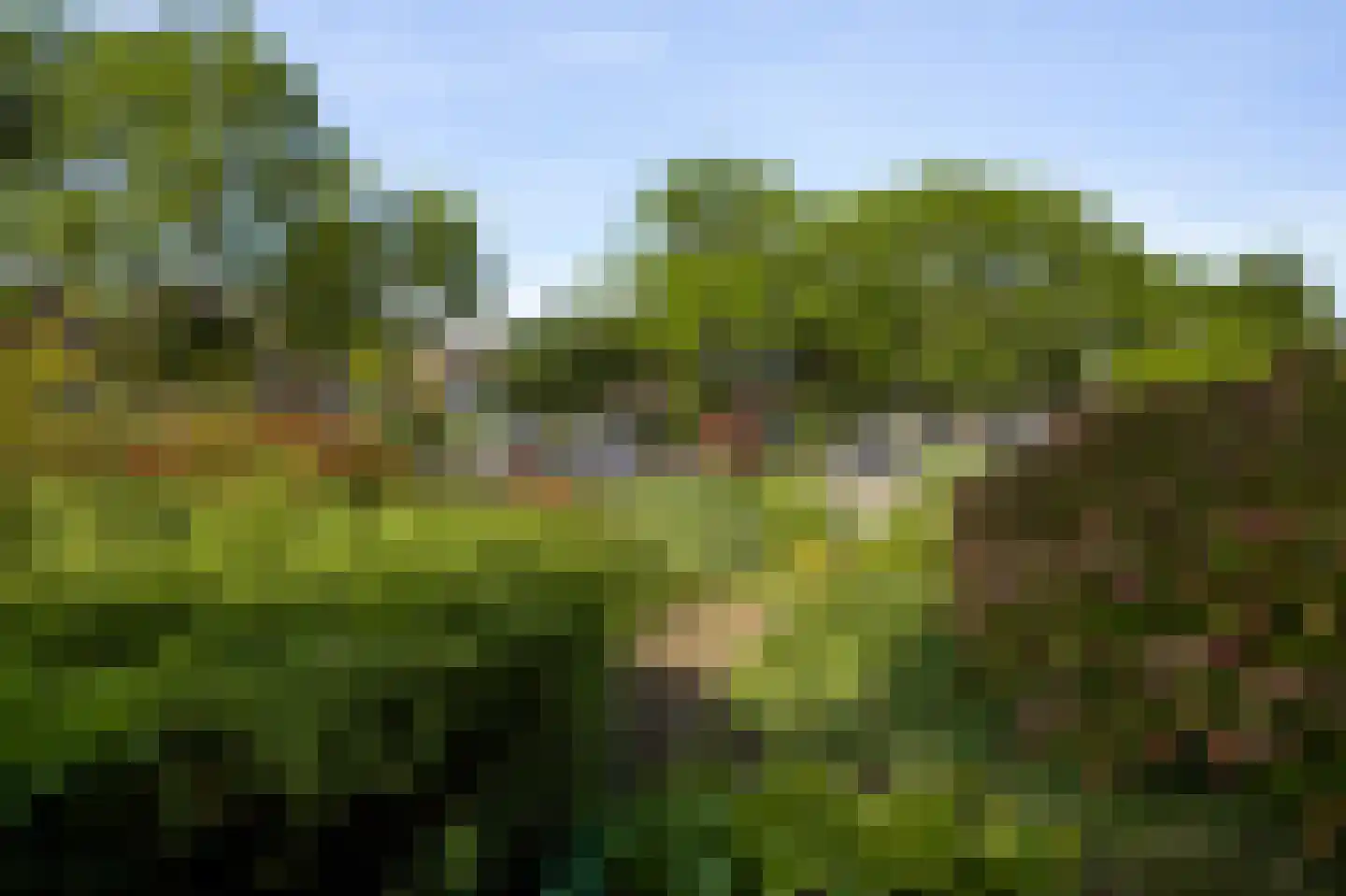 Kasteel Exaetenstraat 13 Roermond thumbnail 54