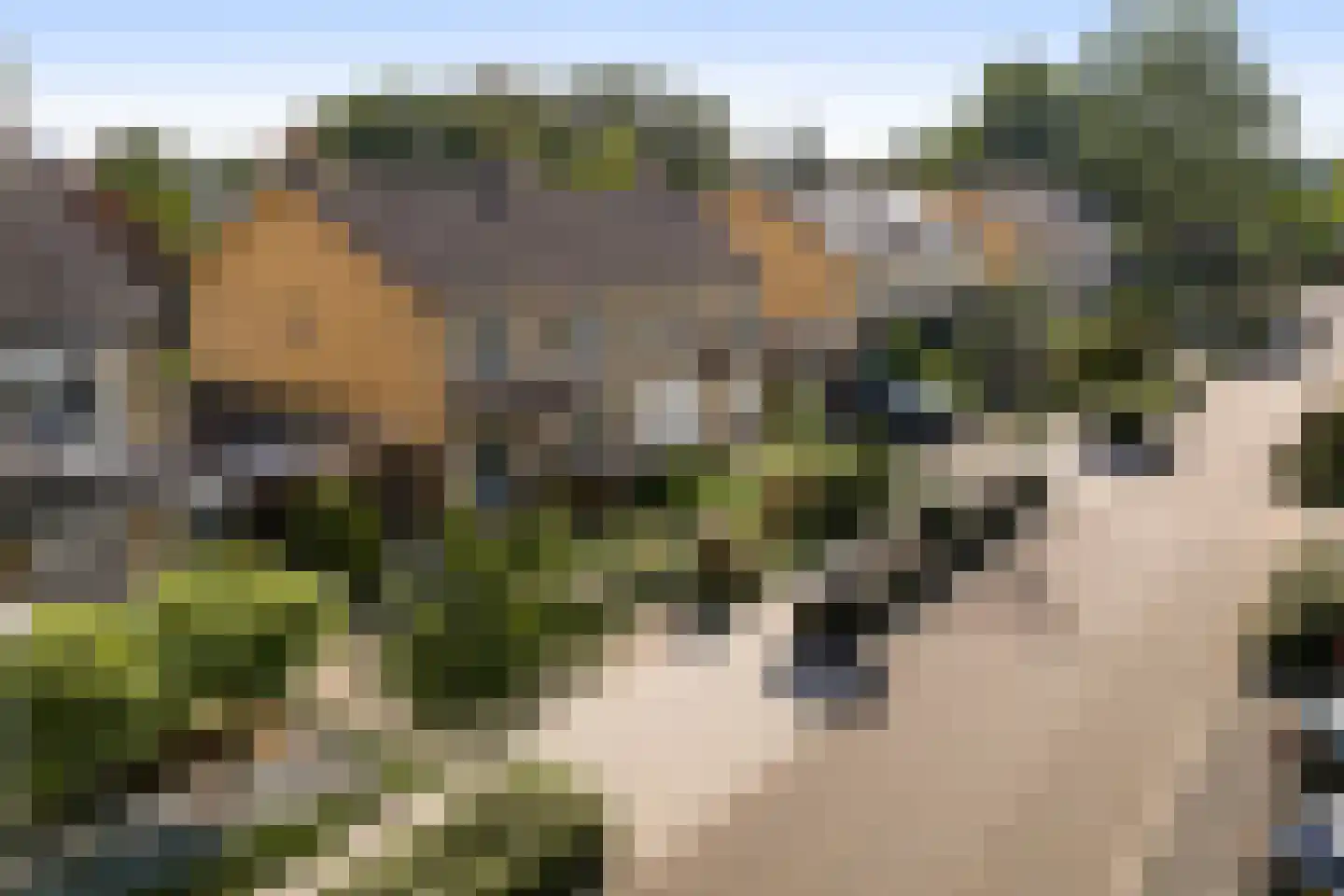 Kasteel Exaetenstraat 13 Roermond thumbnail 59