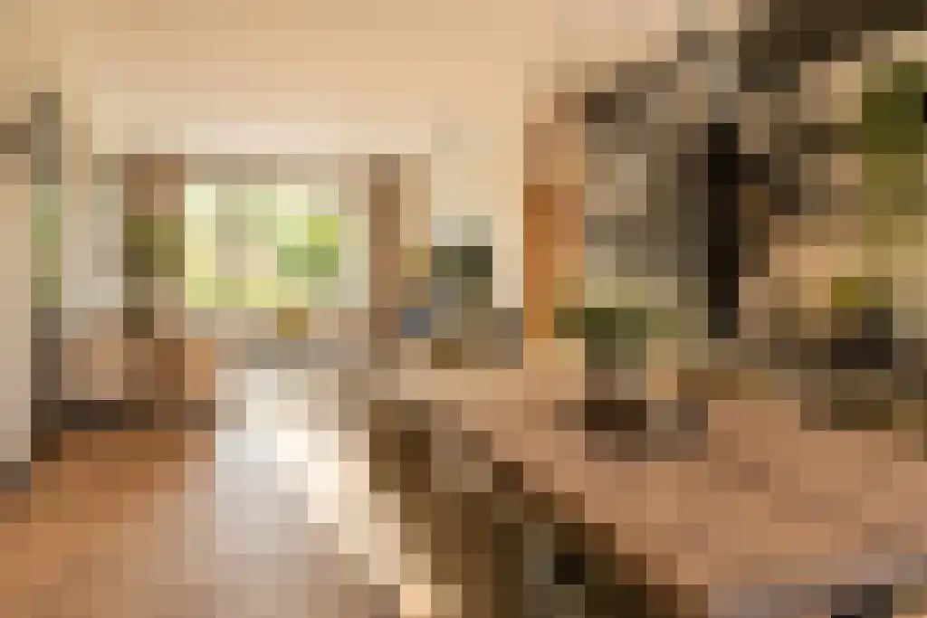 Kasteel Exaetenstraat 13 Roermond thumbnail 8