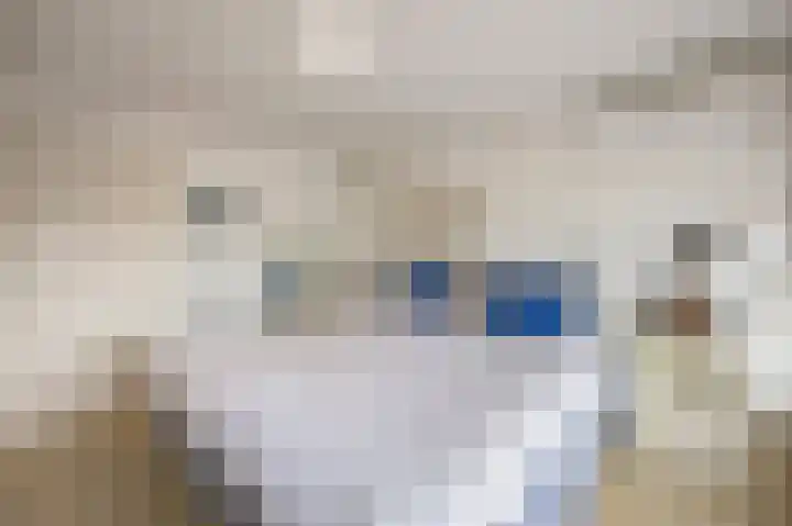 Kasteel Exaetenstraat 4 Roermond thumbnail 22