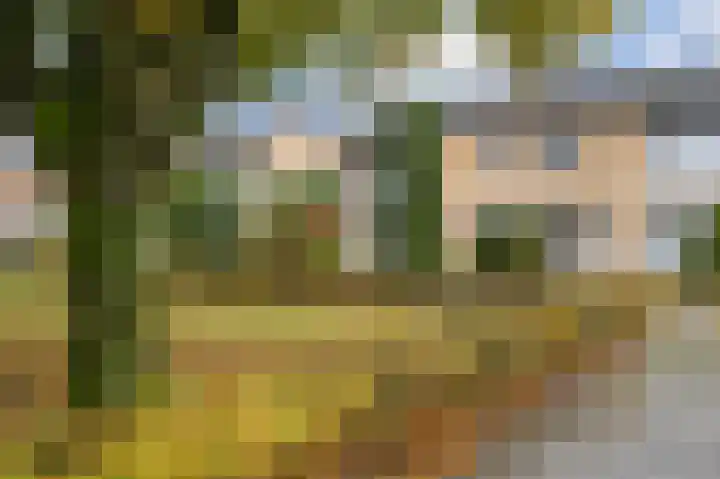 Kasteel Exaetenstraat 4 Roermond thumbnail 33