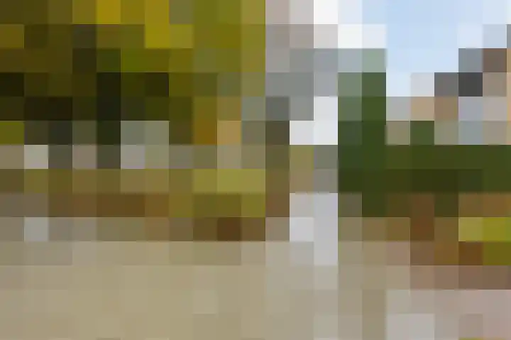 Kasteel Exaetenstraat 4 Roermond thumbnail 34