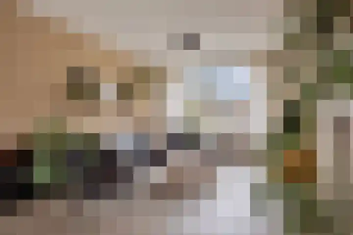Kasteel Exaetenstraat 5 Roermond thumbnail 13