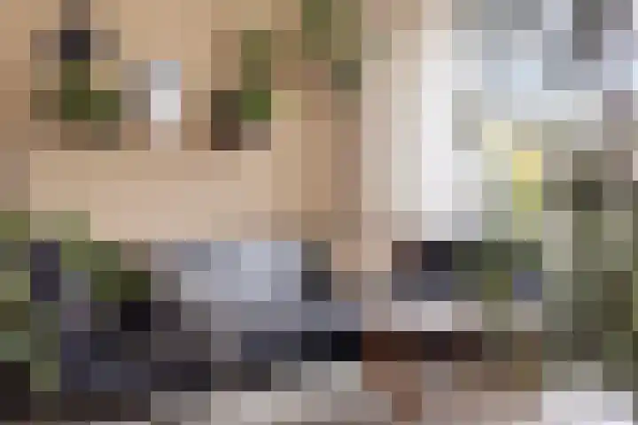 Kasteel Exaetenstraat 5 Roermond thumbnail 15