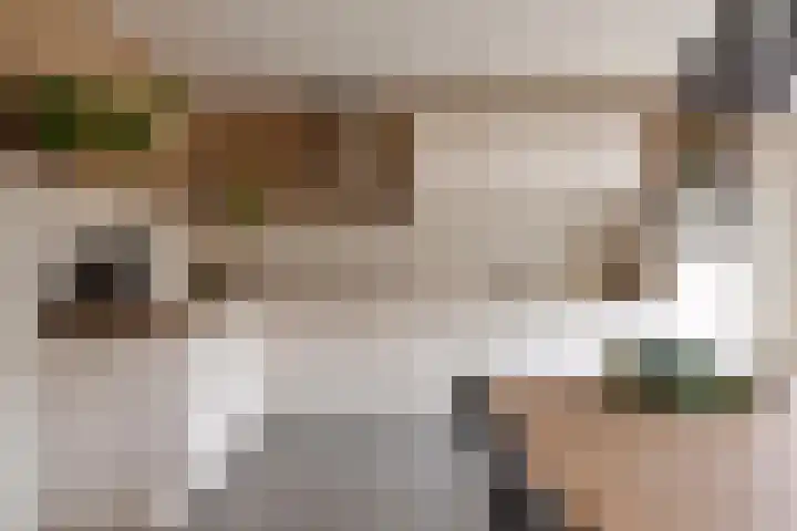 Kasteel Exaetenstraat 5 Roermond thumbnail 18