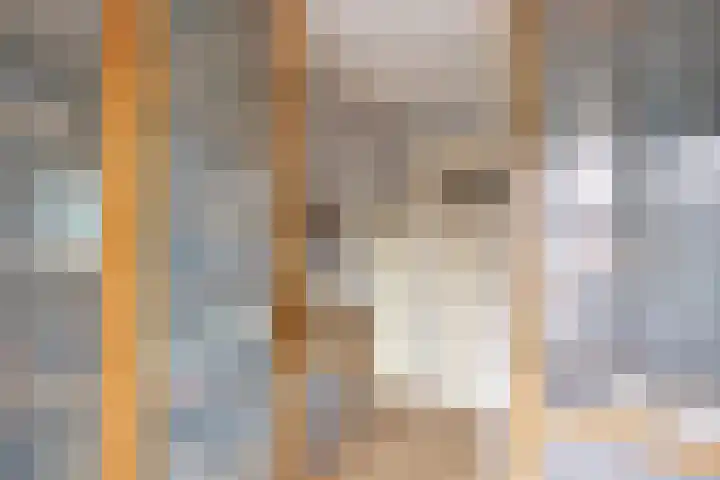 Kasteel Exaetenstraat 5 Roermond thumbnail 31