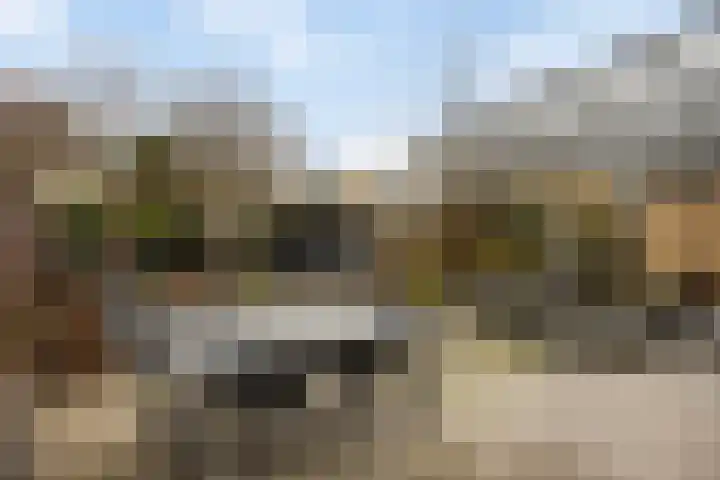 Kasteel Exaetenstraat 5 Roermond thumbnail 42