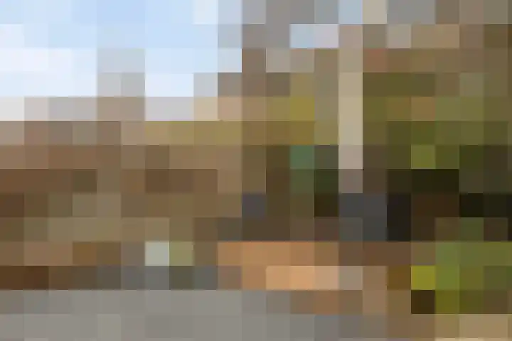 Kasteel Exaetenstraat 5 Roermond thumbnail 43