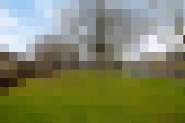 Kasteel Exaetenstraat 5 Roermond thumbnail 46
