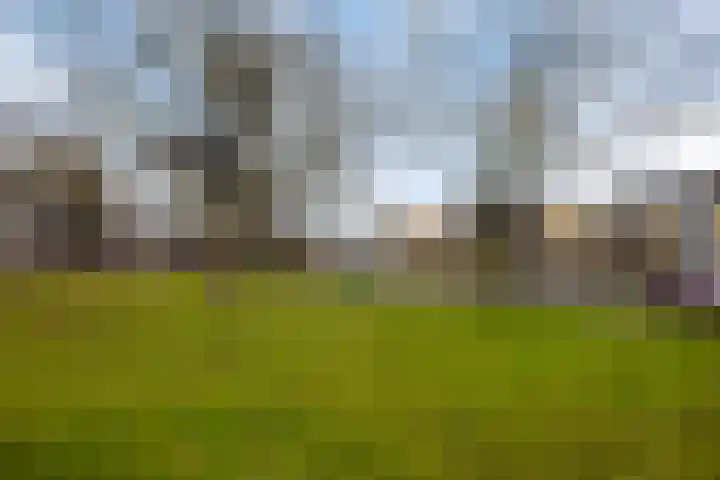 Kasteel Exaetenstraat 5 Roermond thumbnail 49
