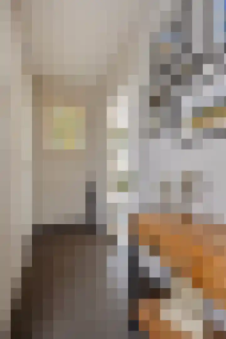 Kasteel Exaetenstraat 5 Roermond thumbnail 9