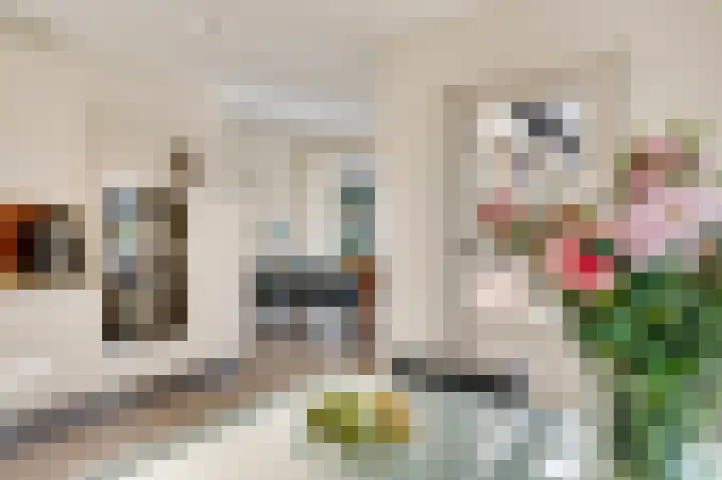 Kasteel Frymersonstraat 22 Roermond thumbnail 20