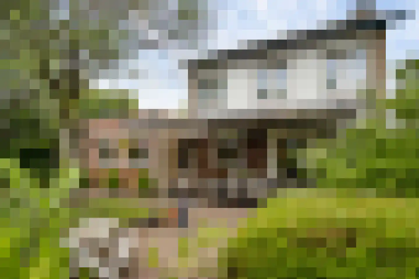 Kasteel Frymersonstraat 22 Roermond thumbnail 34