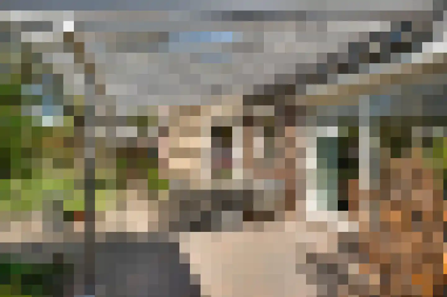 Kasteel Frymersonstraat 22 Roermond thumbnail 35