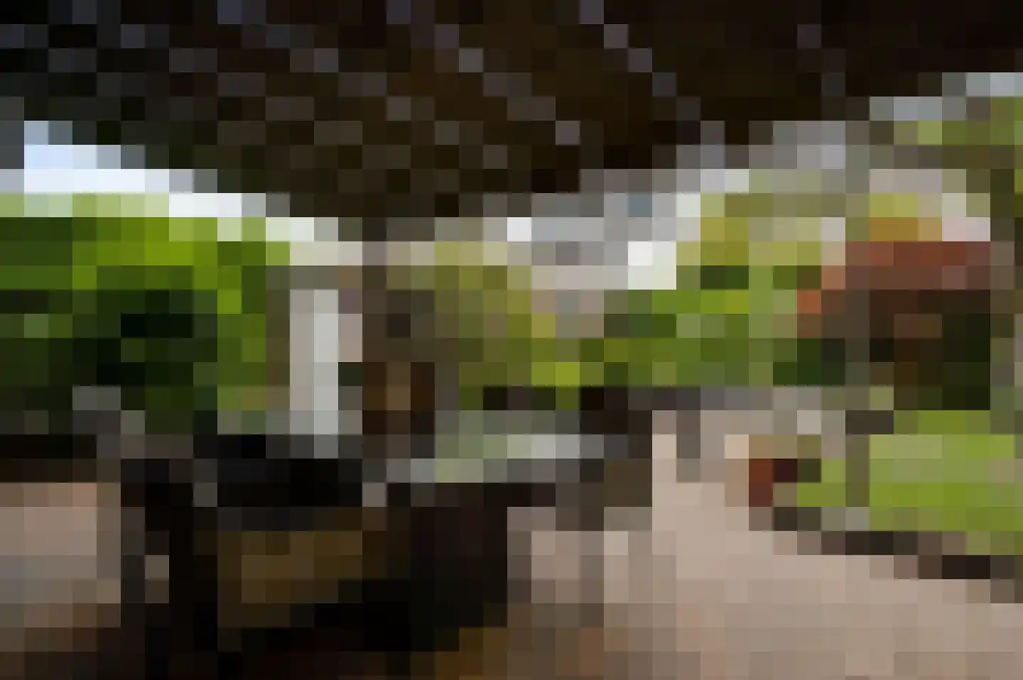 Kasteel Frymersonstraat 22 Roermond thumbnail 36