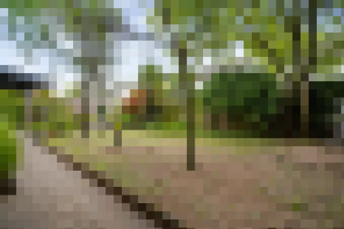 Kasteel Frymersonstraat 22 Roermond thumbnail 37