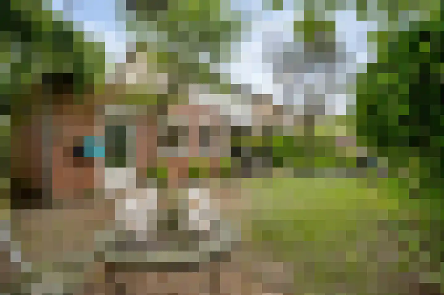 Kasteel Frymersonstraat 22 Roermond thumbnail 38