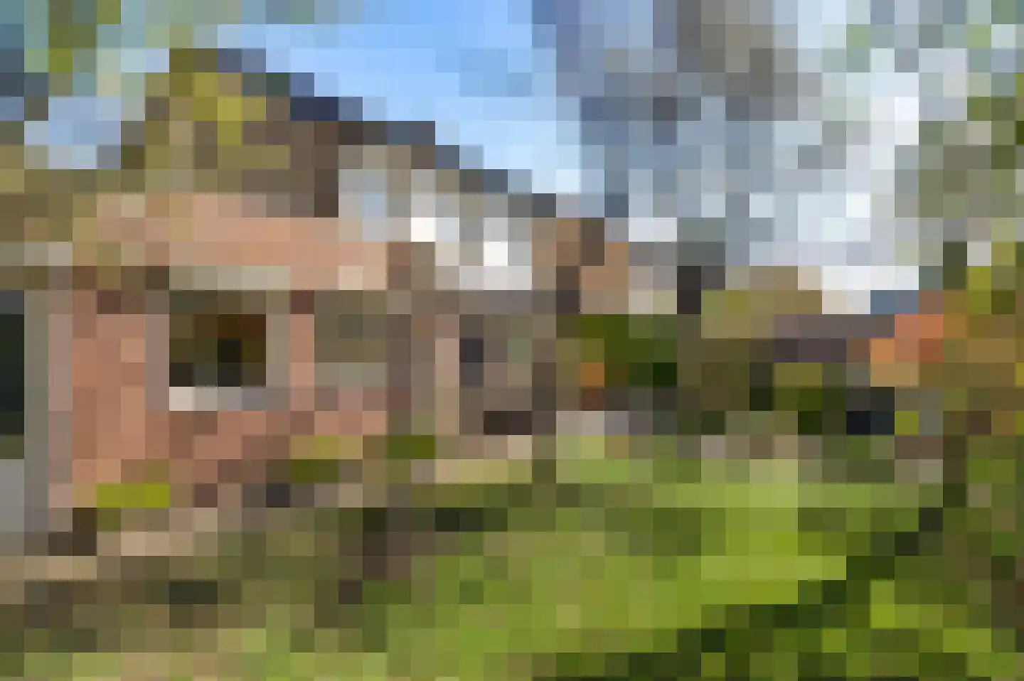 Kasteel Frymersonstraat 22 Roermond thumbnail 39