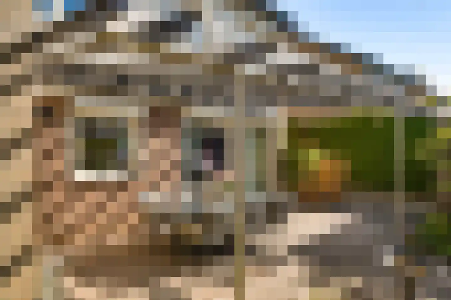 Kasteel Frymersonstraat 22 Roermond thumbnail 40