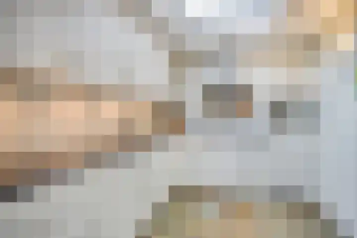 Kasteel Frymersonstraat 8 Roermond thumbnail 17