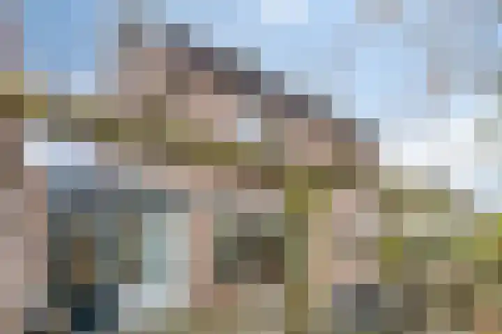 Kasteel Frymersonstraat 8 Roermond thumbnail 32