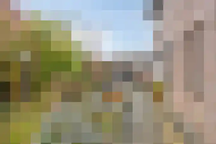 Kasteel Frymersonstraat 8 Roermond thumbnail 35
