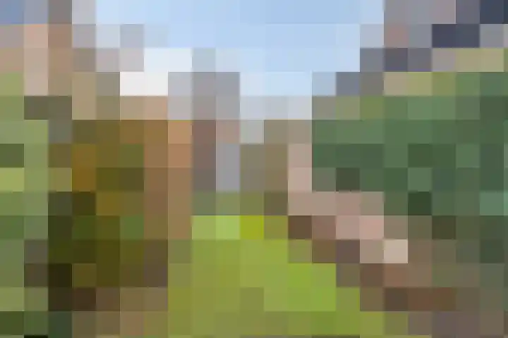 Kasteel Frymersonstraat 8 Roermond thumbnail 38