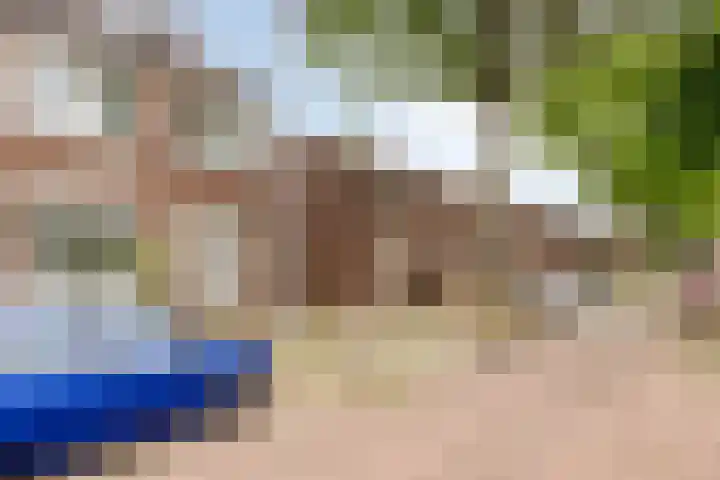 Kasteel Hartelsteinstraat 28 Maastricht thumbnail 16