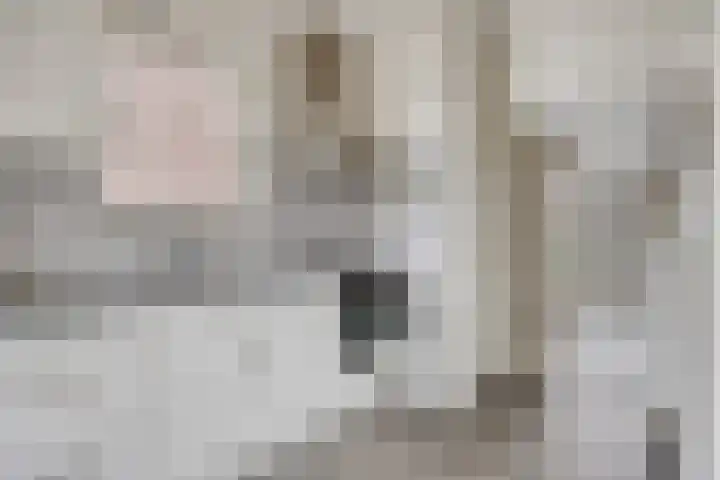 Kasteel Hartelsteinstraat 28 Maastricht thumbnail 6