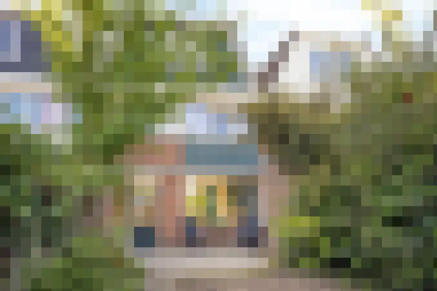 Kasteel Heeswijkstraat 15 Tilburg thumbnail 39