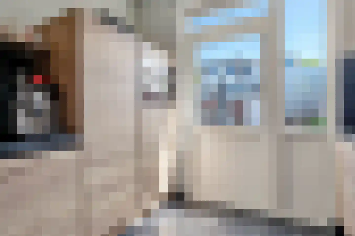 Kasteel Heeswijkstraat 20 Tilburg thumbnail 13