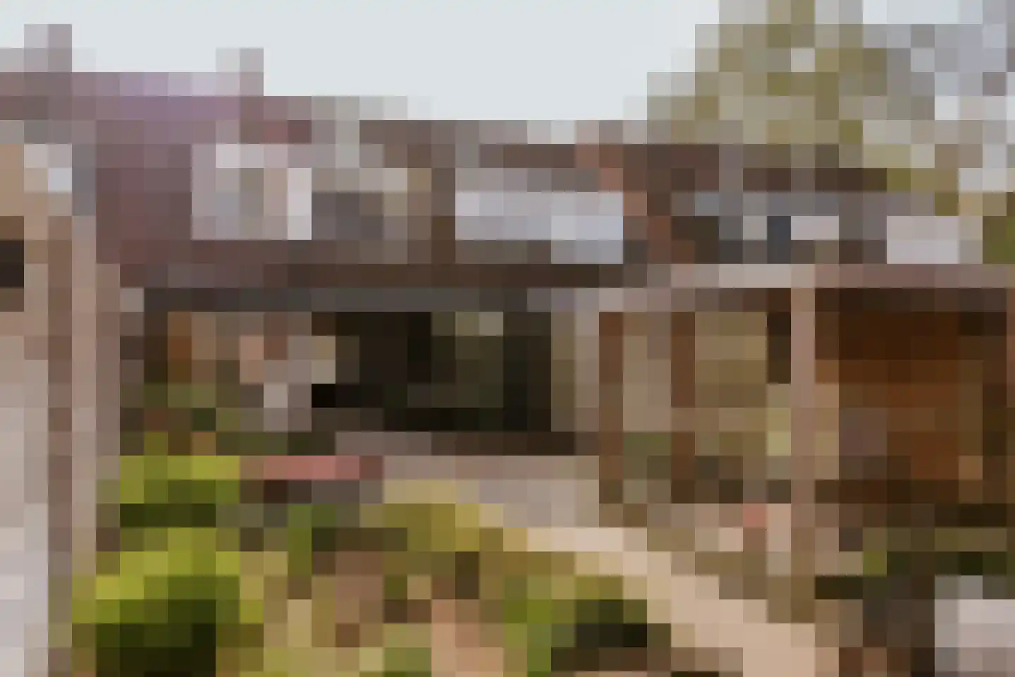 Kasteel Hillenraedtstraat 134 Roermond thumbnail 26