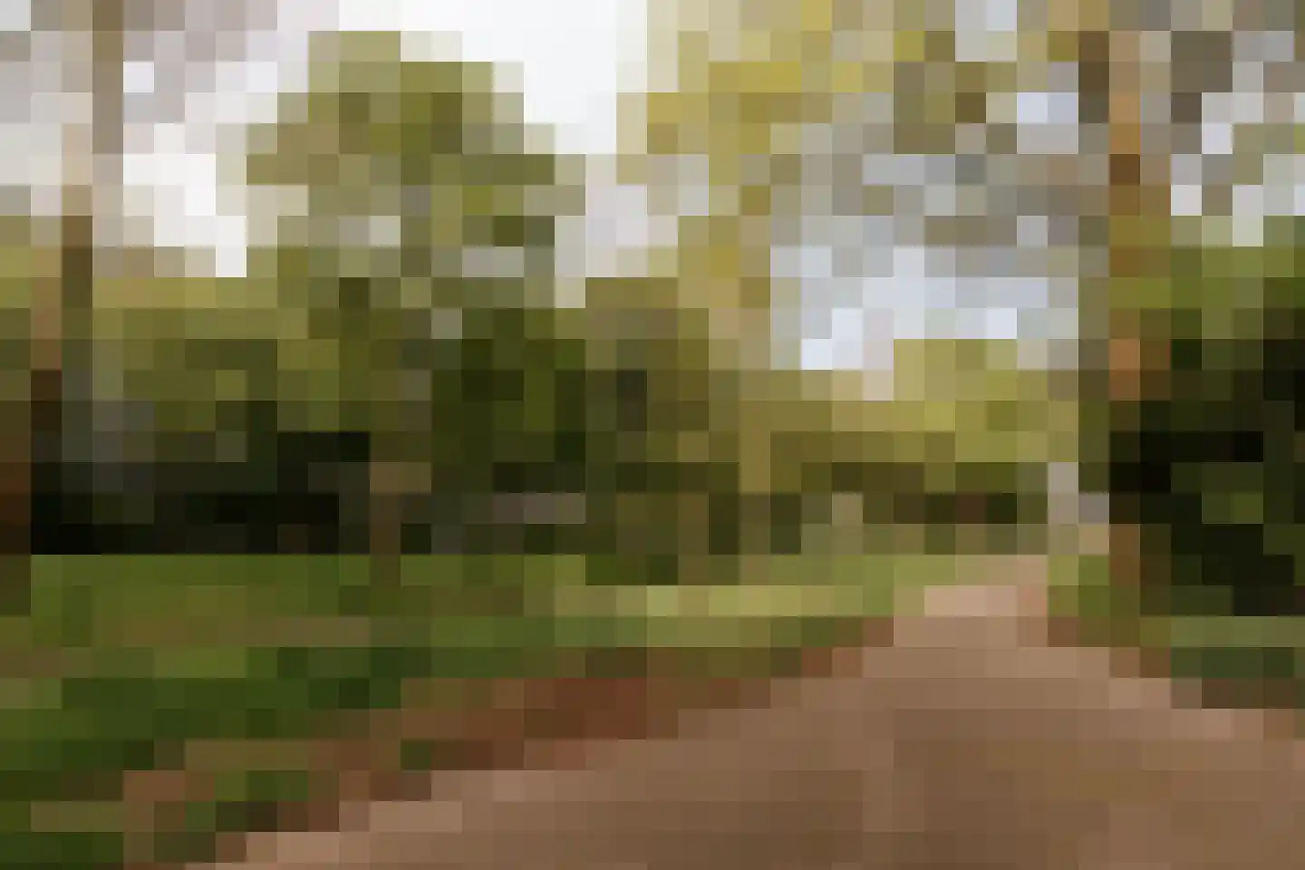 Kasteel Hillenraedtstraat 134 Roermond thumbnail 46