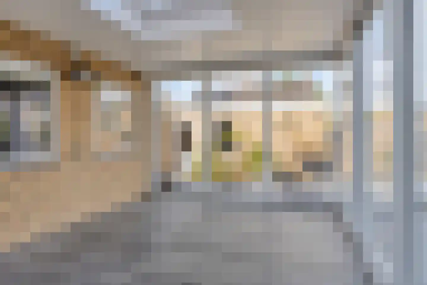 Kasteel Hillenraedtstraat 15 Roermond thumbnail 15