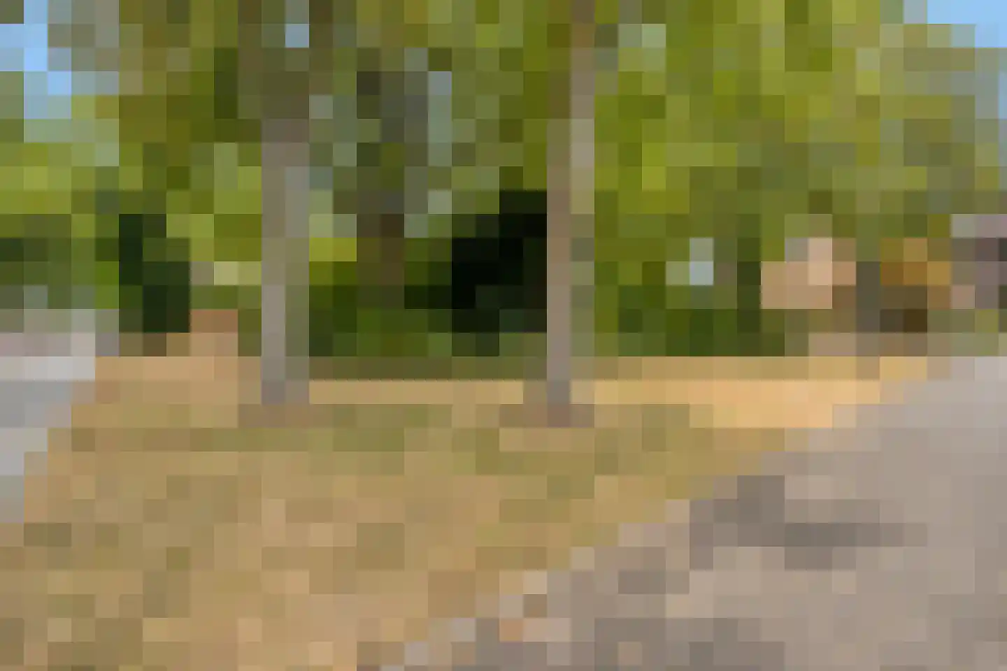 Kasteel Hillenraedtstraat 15 Roermond thumbnail 45