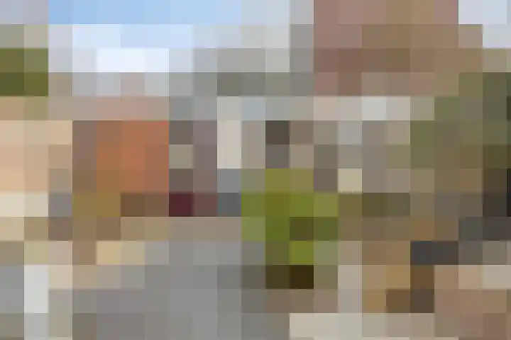 Kasteel Hillenraedtstraat 152 Roermond thumbnail 37