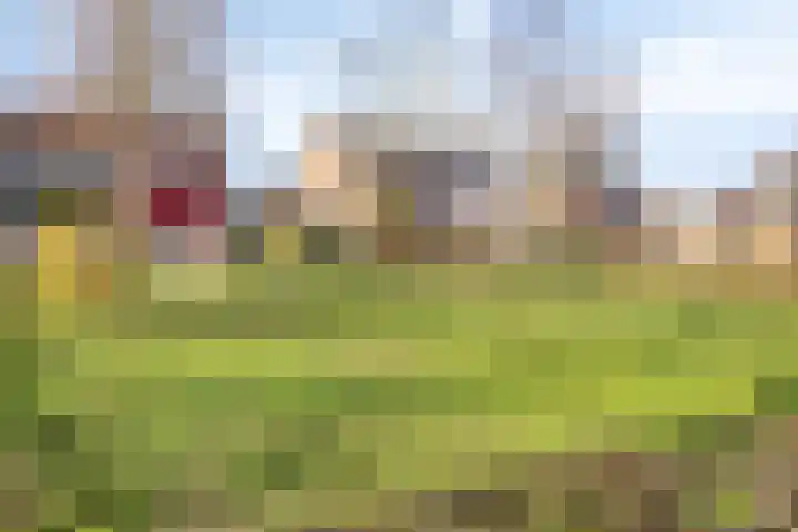 Kasteel Hillenraedtstraat 152 Roermond thumbnail 44
