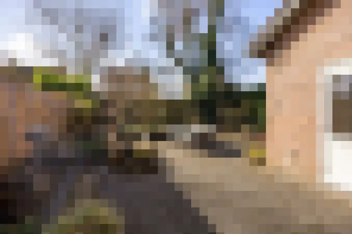 Kasteel Hillenraedtstraat 52 Roermond thumbnail 26