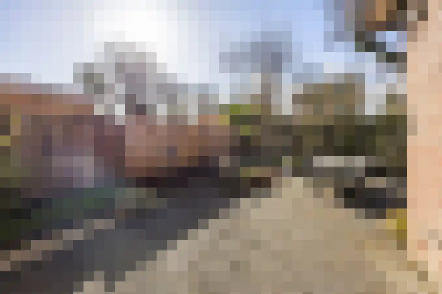 Kasteel Hillenraedtstraat 52 Roermond thumbnail 27