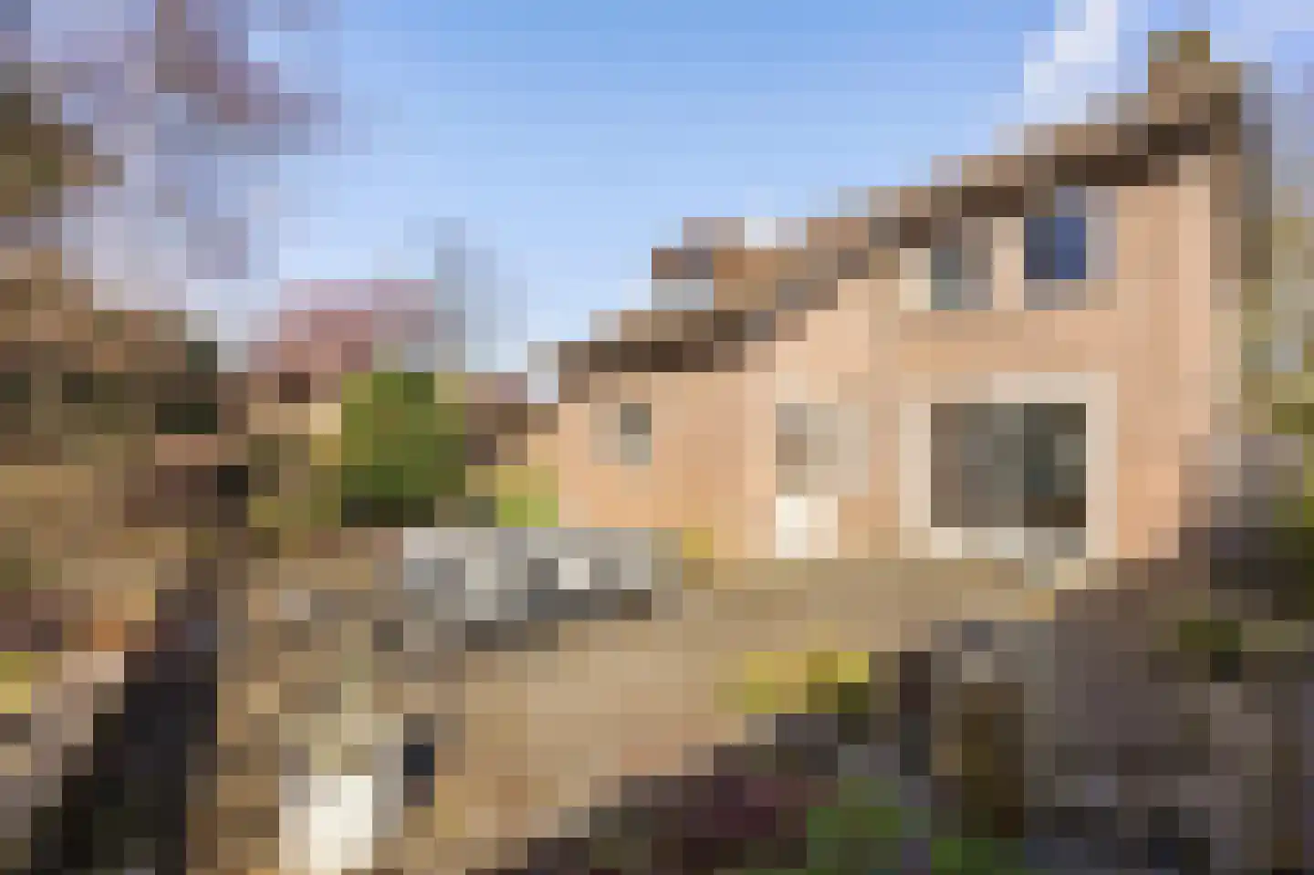 Kasteel Hillenraedtstraat 52 Roermond thumbnail 28